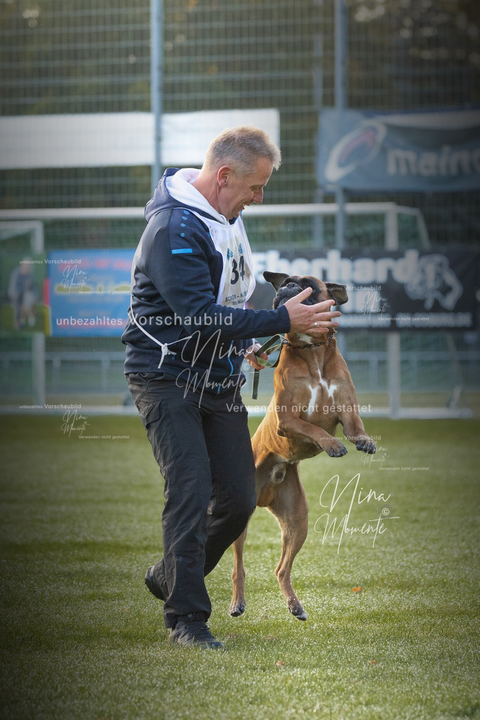 _16A5928-1 | Einzigartige Fotos von Hunden & Menschen –Actionfotos, Portraits, Vereinsaufnahmen & Paarshootings – authentisch, lebendig & mit Herz.