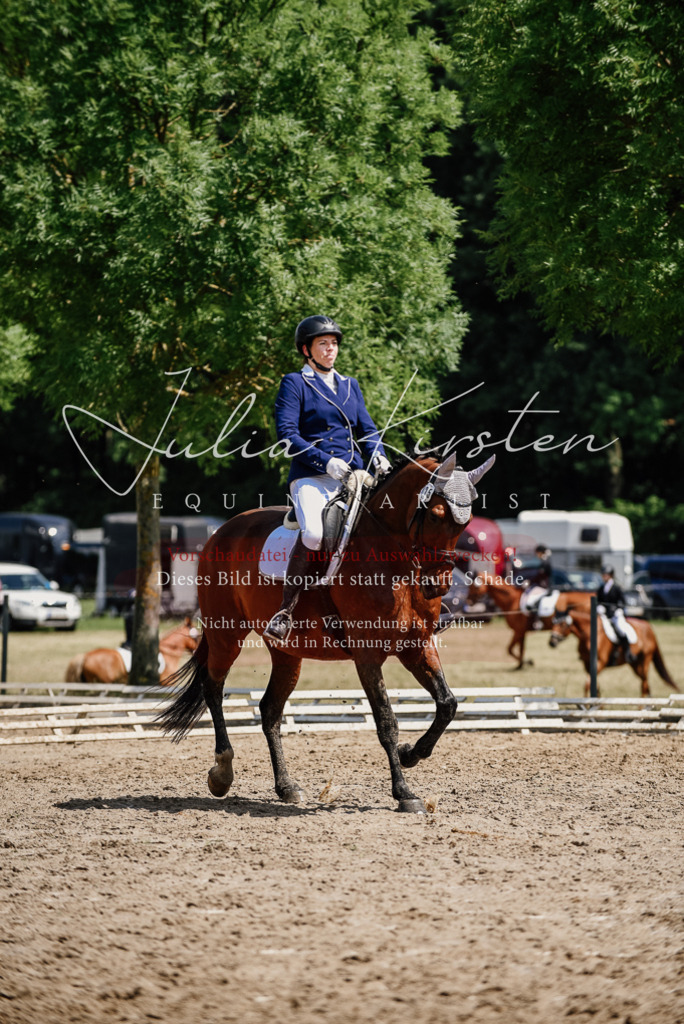 DSC_1197 | Pferde- und Turnierfotografie in Westsachsen. Pferdeportraits, Auftragszeichnungen und intuitive Kunst.