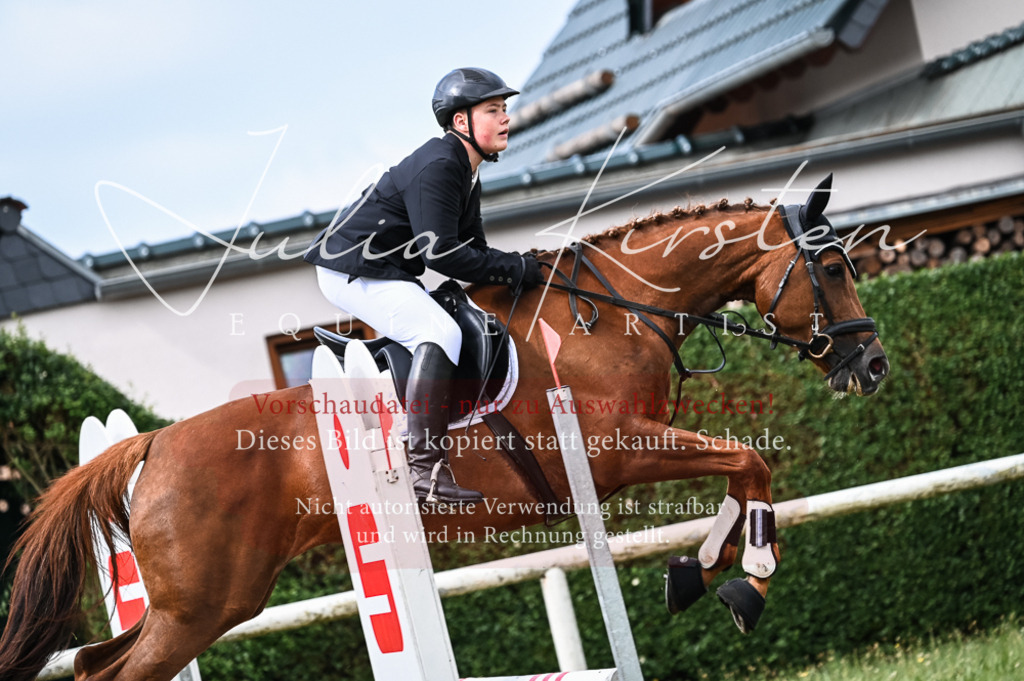 DSC_8183 | Pferde- und Turnierfotografie in Westsachsen. Pferdeportraits, Auftragszeichnungen und intuitive Kunst.