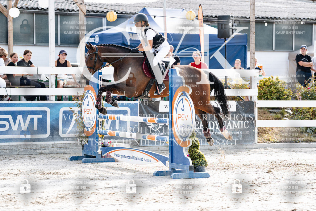 CK905823 | Turnierfotografie Pferdefotografie Trier Rheinland-Pfalz Pferdesport Reitsport Tierfotografie Sportfotografie Pferdevideo Pferdevideografie Equestrianvideography equestrianphotography  - Realisiert mit Pictrs.com