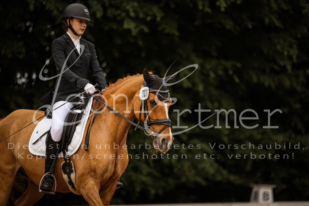 DoDrE00432 | Leoni Ertmer Photography - Realisiert mit Pictrs.com