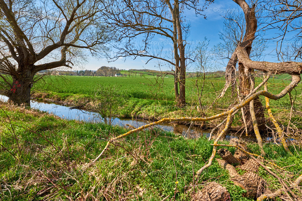 Der Elsterfloßgraben zwischen Ahlendorf und Trebnitz 07 | Bedeutsame Landschaften Deutschlands - Realisiert mit Pictrs.com