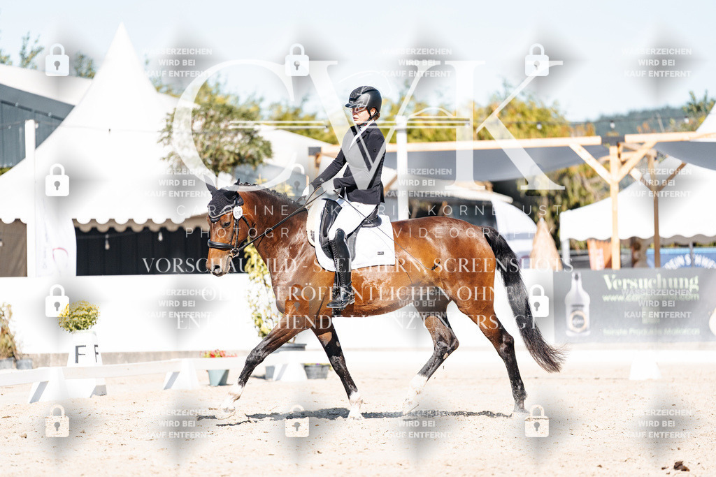 CK907973 | Turnierfotografie Pferdefotografie Trier Rheinland-Pfalz Pferdesport Reitsport Tierfotografie Sportfotografie Pferdevideo Pferdevideografie Equestrianvideography equestrianphotography  - Realisiert mit Pictrs.com