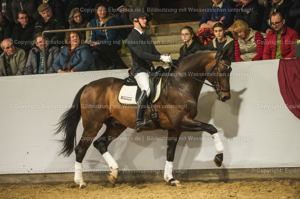 20240302_Hengstvorstellung_Marbach_TOMsPiC_1273 | equistock