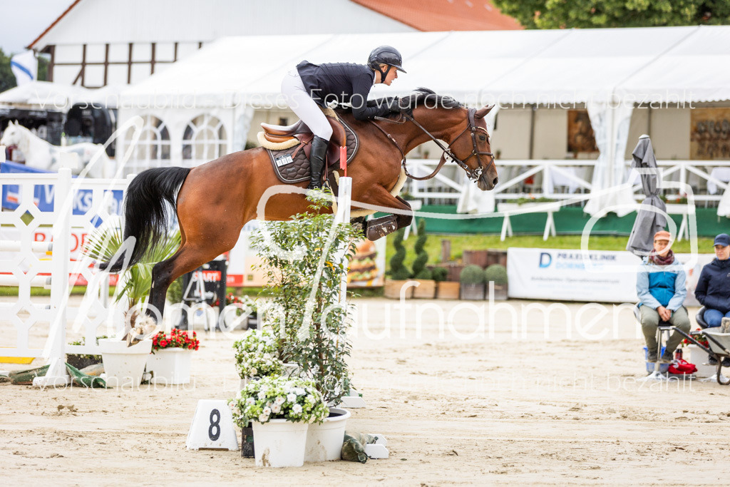 BHO-2PhSpr-M-5-2191 | MomenTaufnahmen Pferdesportfotos