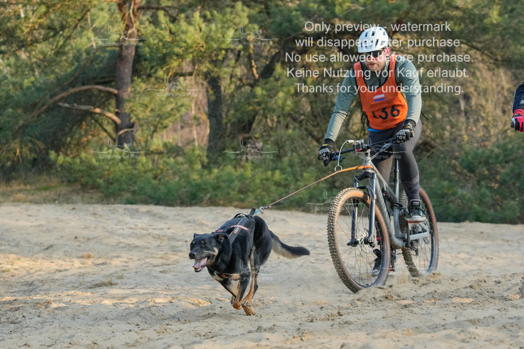 So_Bike-427 | stephaniefillaphotographie - Realisiert mit Pictrs.com