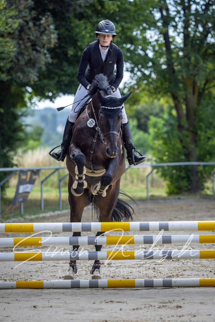 20260704-_3LI6407 | Tierfotografie Pferde, Hunde, Katzen, Haustiere.
Turnierfotografie Reitturniere, Reiten, Springreiten, Dressur in Hanau, dem Main-Kinzig-Kreis und dem Rhein-Main- Gebiet um Frankfurt