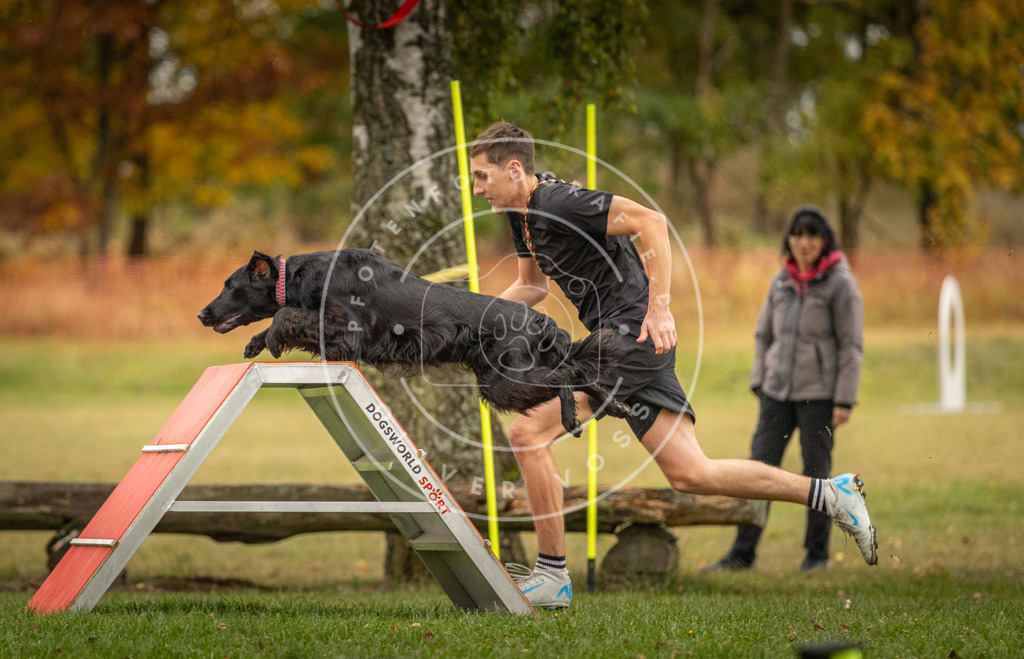 Pfotenfotografie_DV3A7661 | Hundefotografie, Tierfotograf, Pfotenfotografie, Fotoshooting Hund, Hunde Portrait, Hundesport, Hundeportraits, Heideshooting, Hunde, Sportfotograf, Hundefotograf, Turnierhundsport, THS,  - Realisiert mit Pictrs.com