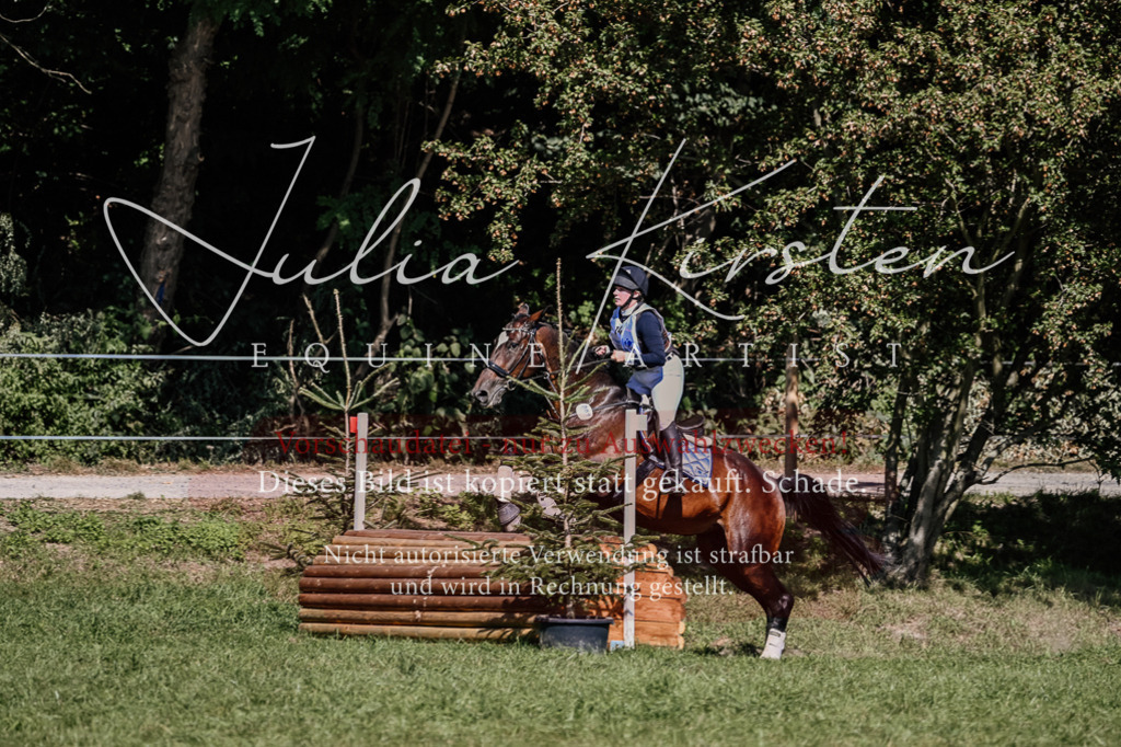 DSC_1830 | Pferde- und Turnierfotografie in Westsachsen. Pferdeportraits, Auftragszeichnungen und intuitive Kunst.