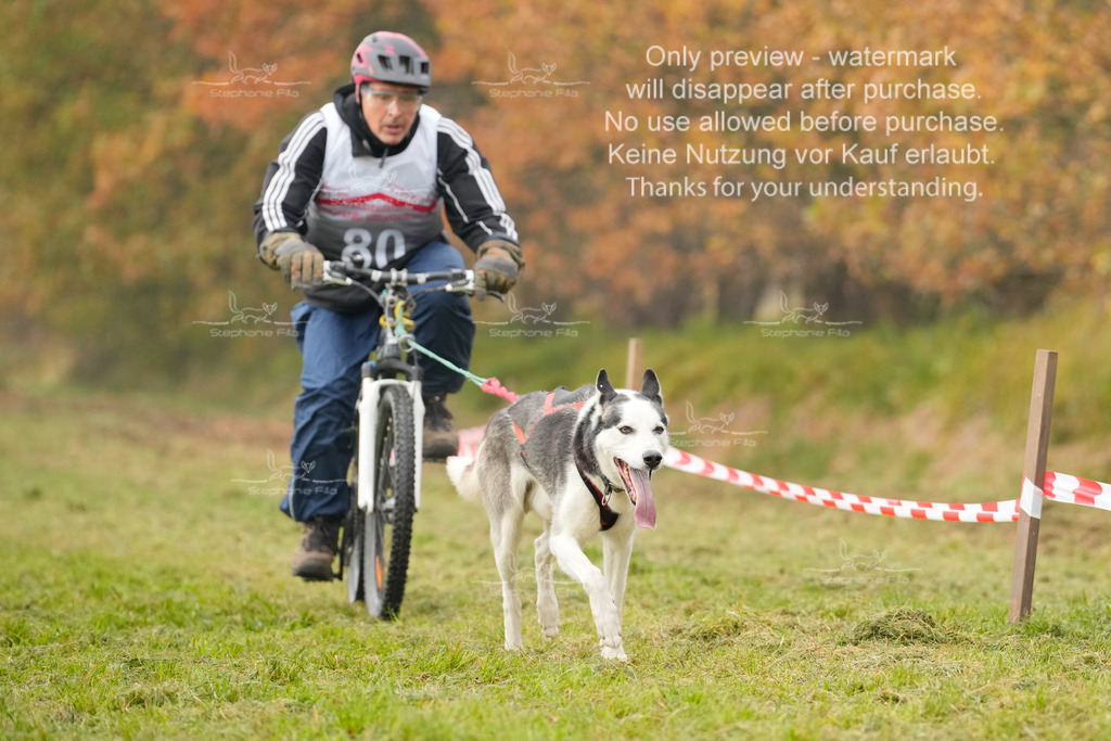 Visbeck_Sa_Bike-258 | stephaniefillaphotographie - Realisiert mit Pictrs.com