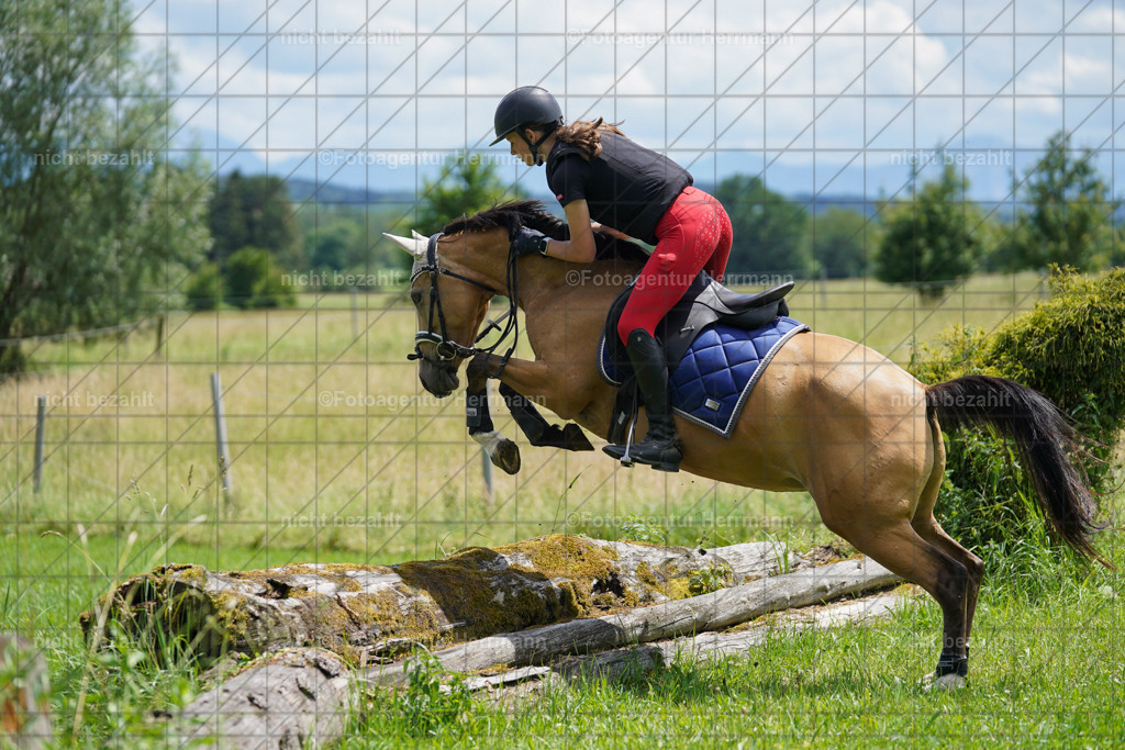 20240622-FAH07307 | Turnierfotografen Bayern, Reitsportbilder aus dem Geländekurs mit Felix Etzel auf dem Gut Waitzacker 2024