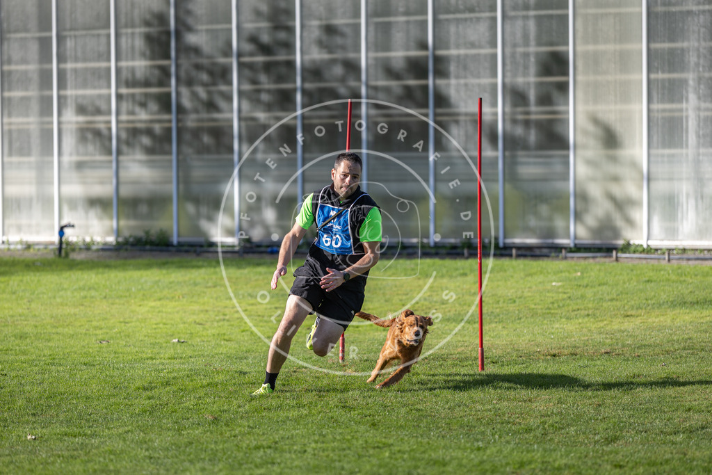 Pfotenfotografie.de_DV3A3413 | Hundefotografie, Tierfotograf, Pfotenfotografie, Fotoshooting Hund, Hunde Portrait, Hundesport, Hundeportraits, Heideshooting, Hunde, Sportfotograf, Hundefotograf, Turnierhundsport, THS, canicross - Realisiert mit Pictrs.com