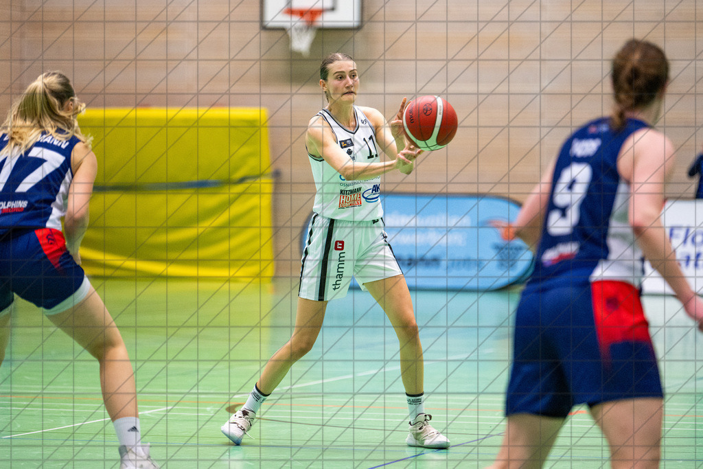2. DBBL Nord 24/25 | 27.10.2024 | BBC OS vs. TSVE Bielefeld  | 2. DBBL Nord 24/25 | 27.10.2024 | BBC OS vs. TSVE Bielefeld - - - - - CREDIT, www.bullenfotos.de, Martin König, Hörner Weg 40, D-49078 Osnabrück, +4917663732967, Nutzung und Weitergabe nur zu den vereinbarten Zwecken. Presseanfragen an Urheber. Alle Rechte beim Urheber. - - - - - - Realisiert mit Pictrs.com