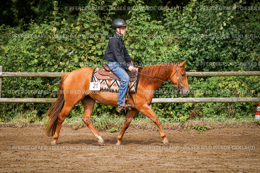 DSC09163 | Pferdegrafie