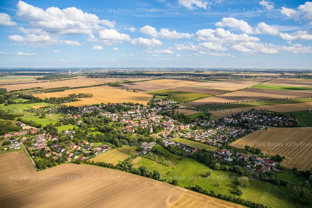 sülztetal-2381 | Sülzetal - Realisiert mit Pictrs.com