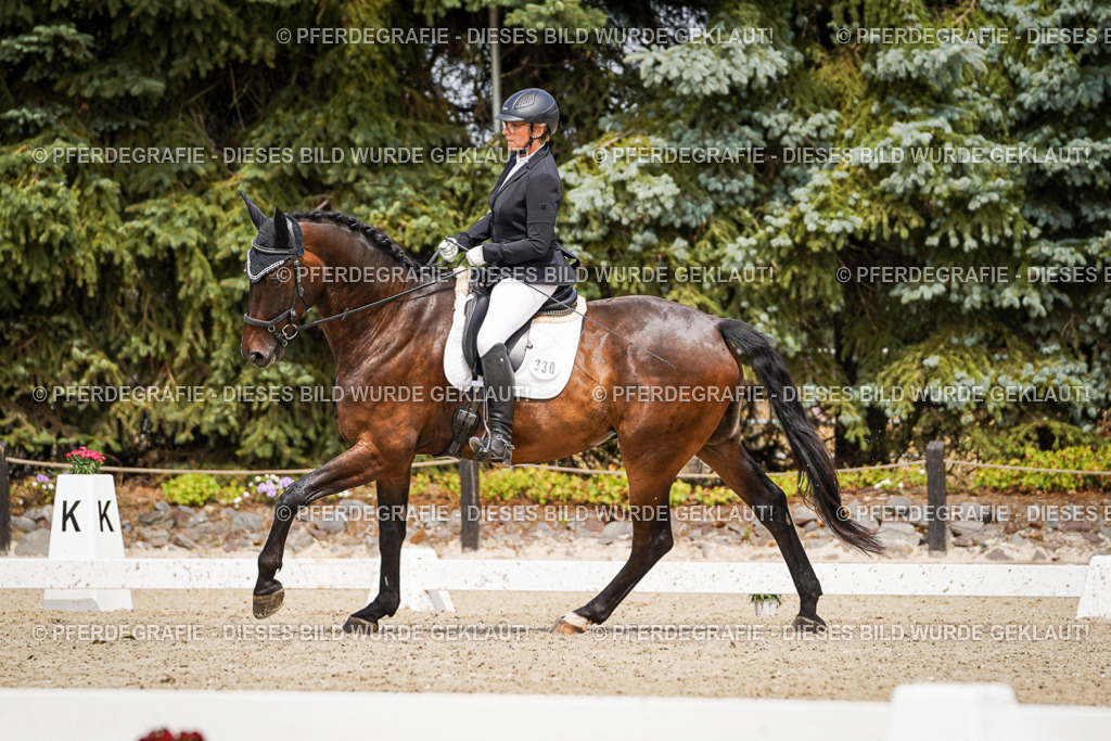 DSC03670 | Pferdegrafie