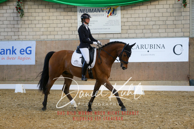 IMG_2597 | Turnierfotos kaufen im Webshop von Daniel Kuhl Photography – entdecke professionelle Reitsportfotos aus Turnieren & Events. Hochwertige Turnierbilder online bestellen & sichern. Jetzt Fotos von Reitsportturnieren kaufen!