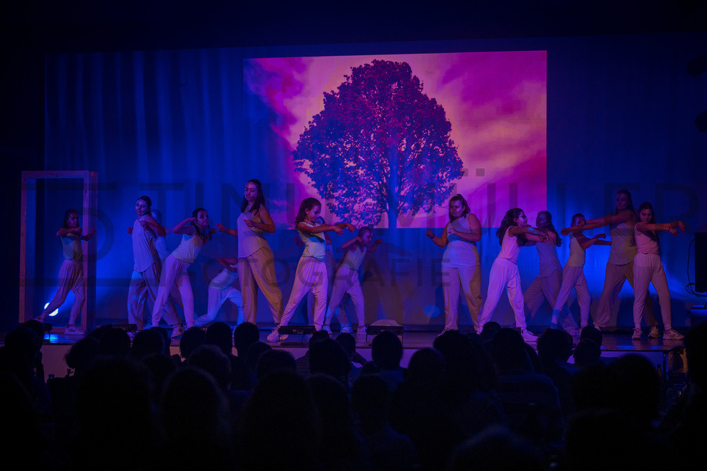 _DSC2289 | Tinu Müller Fotografie- Bildershop - Realisiert mit Pictrs.com