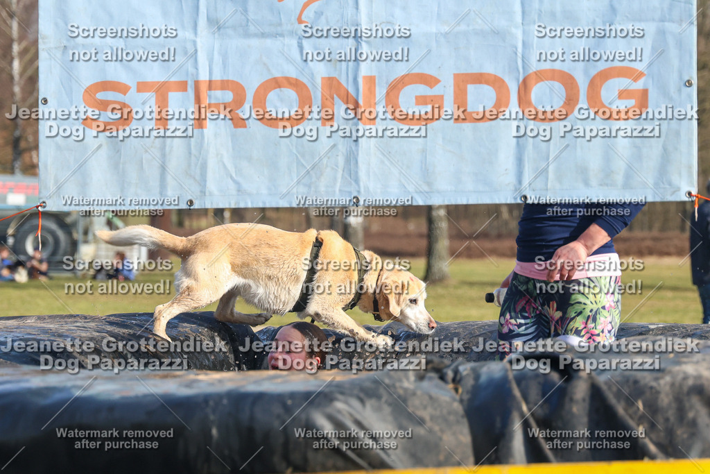 Dog Paparazzi - Strongdog North Mrz26-2772 | Dog Paparazzi Jeanette Grottendiek Fotografie & Videografie - Realisiert mit Pictrs.com
