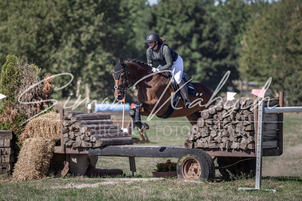20260906-_3LI2436 | Tierfotografie Pferde, Hunde, Katzen, Haustiere.
Turnierfotografie Reitturniere, Reiten, Springreiten, Dressur in Hanau, dem Main-Kinzig-Kreis und dem Rhein-Main- Gebiet um Frankfurt
