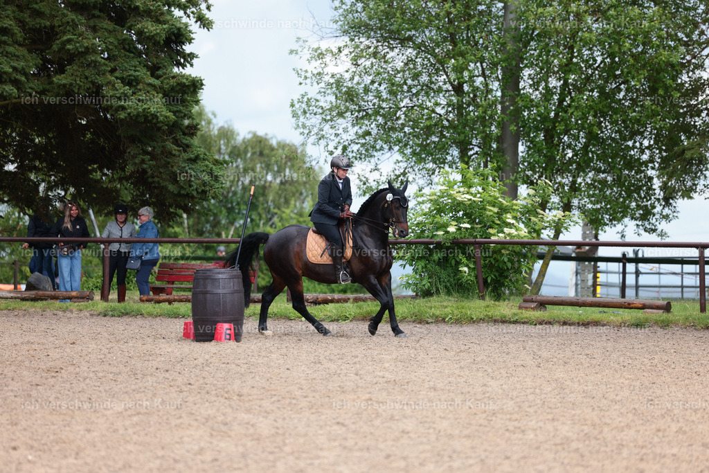 KlasseL_Stoibphotography_CAM23341.JPG | working equitationturnier fotograf videograf stoibphotography marixx film working equitation deutschland reitsport turnierfotografie eventfotografie equestrian events