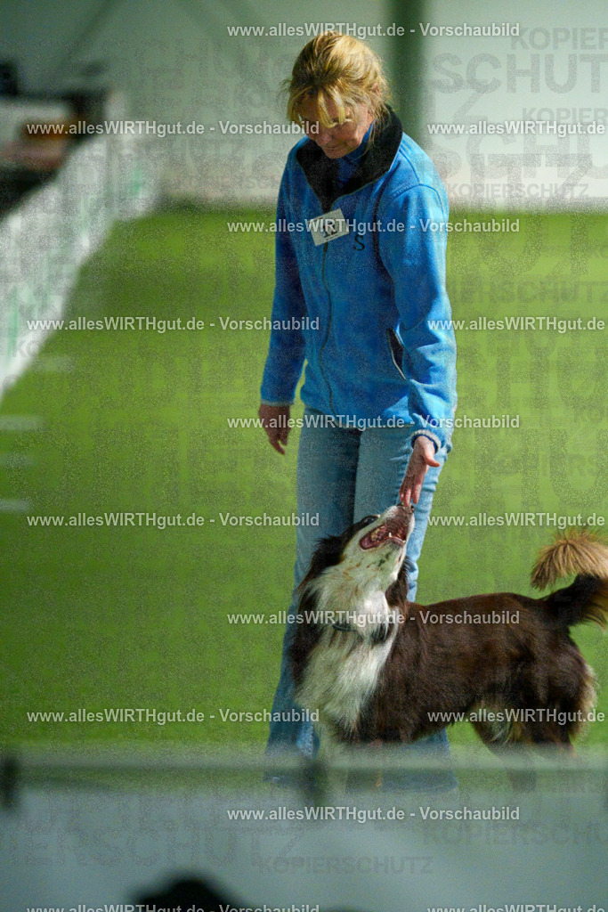 7R505039 | Professionelle Tierfotografie in Mönchengladbach von Daniel Wirth (allesWIRTHgut). Liebevolle & natürliche Bilder von Hunden & Katzen für unvergessliche Erinnerungen.