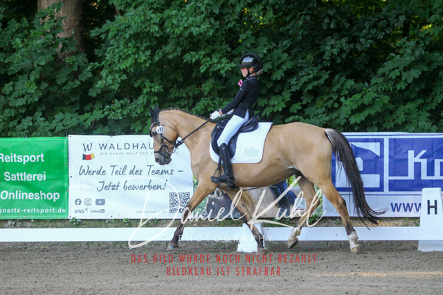 DKP43083 | Turniersportfotografie; Pferdefotografie; Dressurfotografie