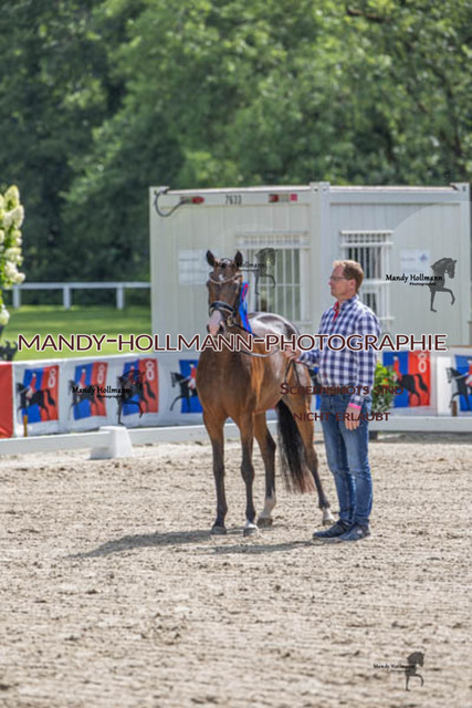 26.7.25 D2 47 (710 von 758) | mandyhollmannphotographie