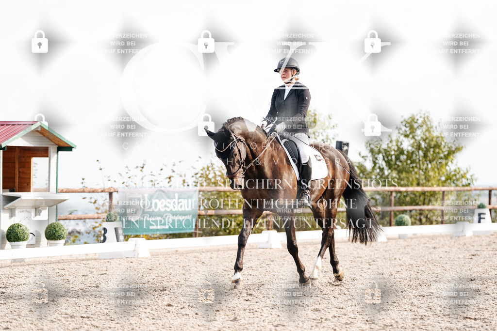 CK901189 | Turnierfotografie Pferdefotografie Trier Rheinland-Pfalz Pferdesport Reitsport Tierfotografie Sportfotografie Pferdevideo Pferdevideografie Equestrianvideography equestrianphotography  - Realisiert mit Pictrs.com