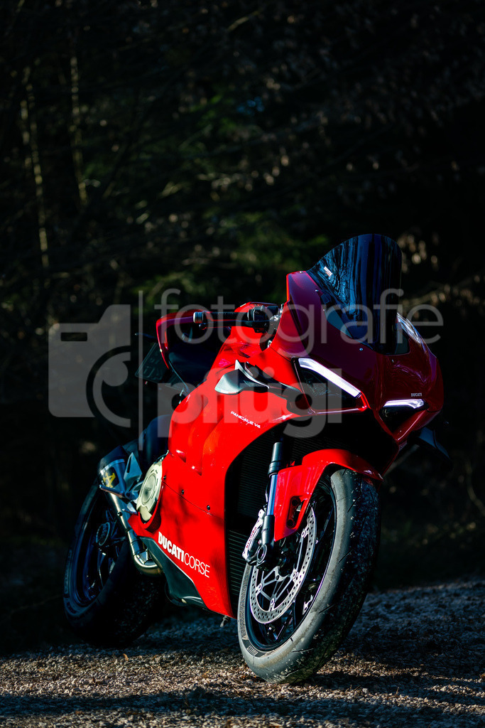 001A4418 | fotografie-pfluegl - Realisiert mit Pictrs.com