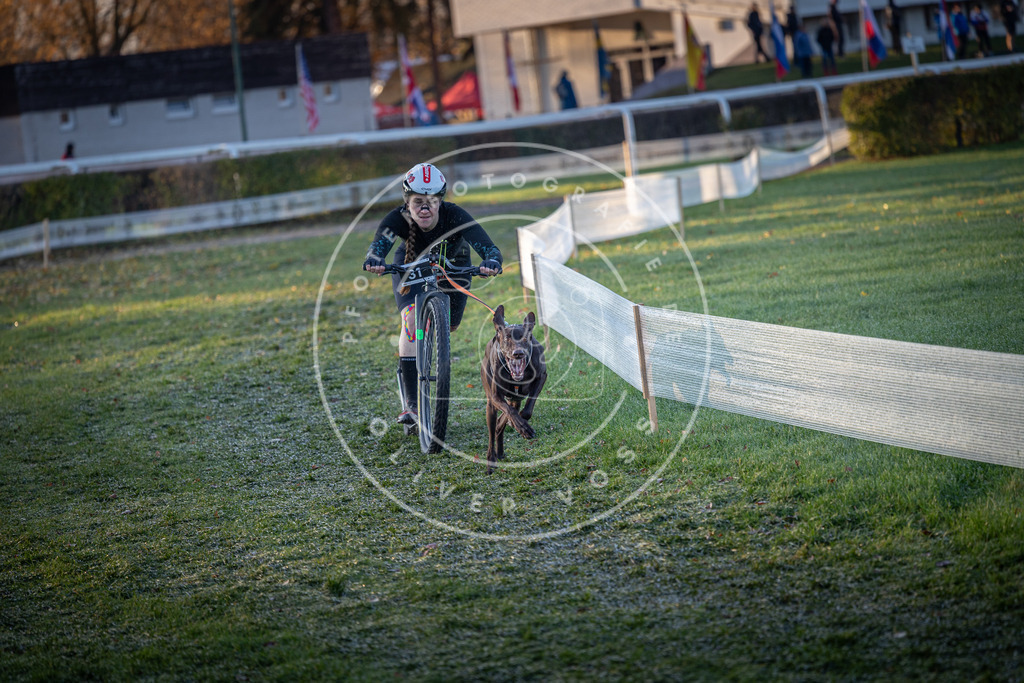 CaniXpix_0L8A1667 | Hundefotografie, Tierfotograf, Pfotenfotografie, Fotoshooting Hund, Hunde Portrait, Hundesport, Hundeportraits, Heideshooting, Hunde, Sportfotograf, Hundefotograf, Turnierhundsport, THS,  - Realisiert mit Pictrs.com