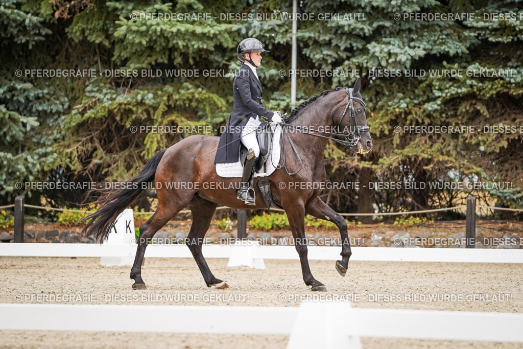 DSC07091 | Pferdegrafie