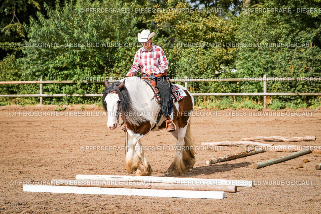 DSC09917 | Pferdegrafie