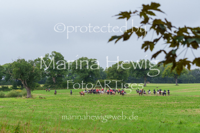 Jagd Perdoel 26 Sony-03729_MarinaHewig | Fotografie, FotoArt, PferdesportArt, Pferdesportfotografie, Landschaftsfotografie, Reisefotografie, Reise, Pferde - Realisiert mit Pictrs.com