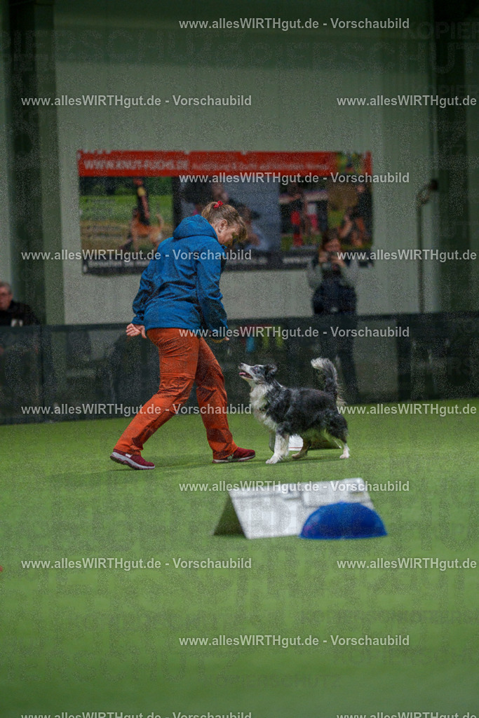 7R504477 | Professionelle Tierfotografie in Mönchengladbach von Daniel Wirth (allesWIRTHgut). Liebevolle & natürliche Bilder von Hunden & Katzen für unvergessliche Erinnerungen.