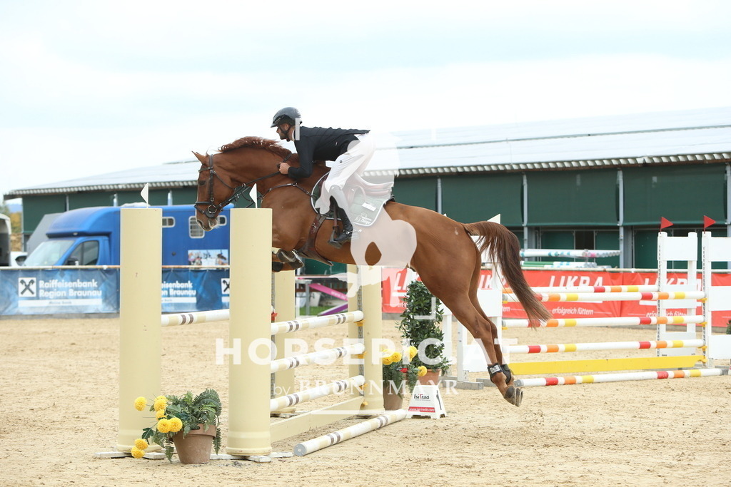 DL2Q6790 | Willkommen bei Brunnmayr - Design & Fotografie – Ihrem Spezialisten für Reitturniere und Pferdeveranstaltungen in Oberösterreich, Salzburg und Bayern! Seit über 17 Jahren sind wir leidenschaftlich dabei.