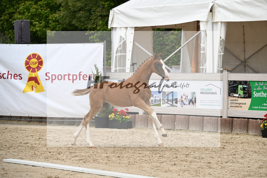 Filox x Borsalino_HF_Geiger_12250595 | hf-fotografie - Realisiert mit Pictrs.com