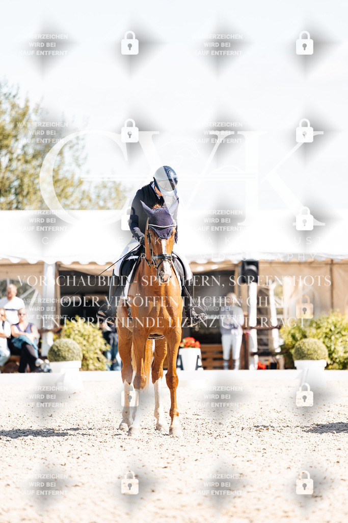 CK903263 | Turnierfotografie Pferdefotografie Trier Rheinland-Pfalz Pferdesport Reitsport Tierfotografie Sportfotografie Pferdevideo Pferdevideografie Equestrianvideography equestrianphotography  - Realisiert mit Pictrs.com