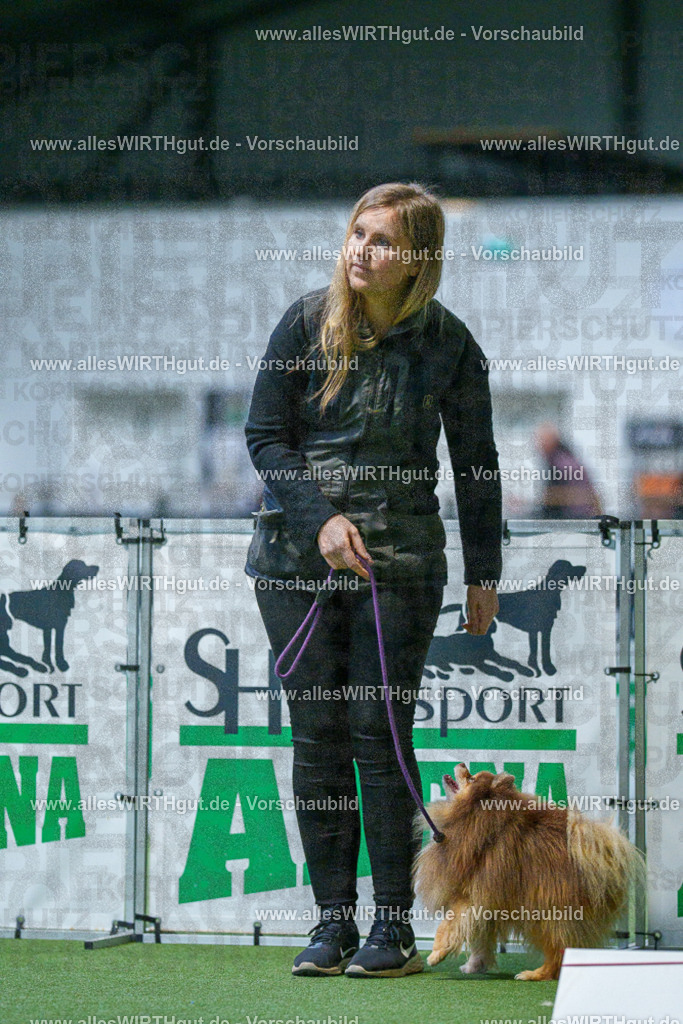 7R501757 | Professionelle Tierfotografie in Mönchengladbach von Daniel Wirth (allesWIRTHgut). Liebevolle & natürliche Bilder von Hunden & Katzen für unvergessliche Erinnerungen.