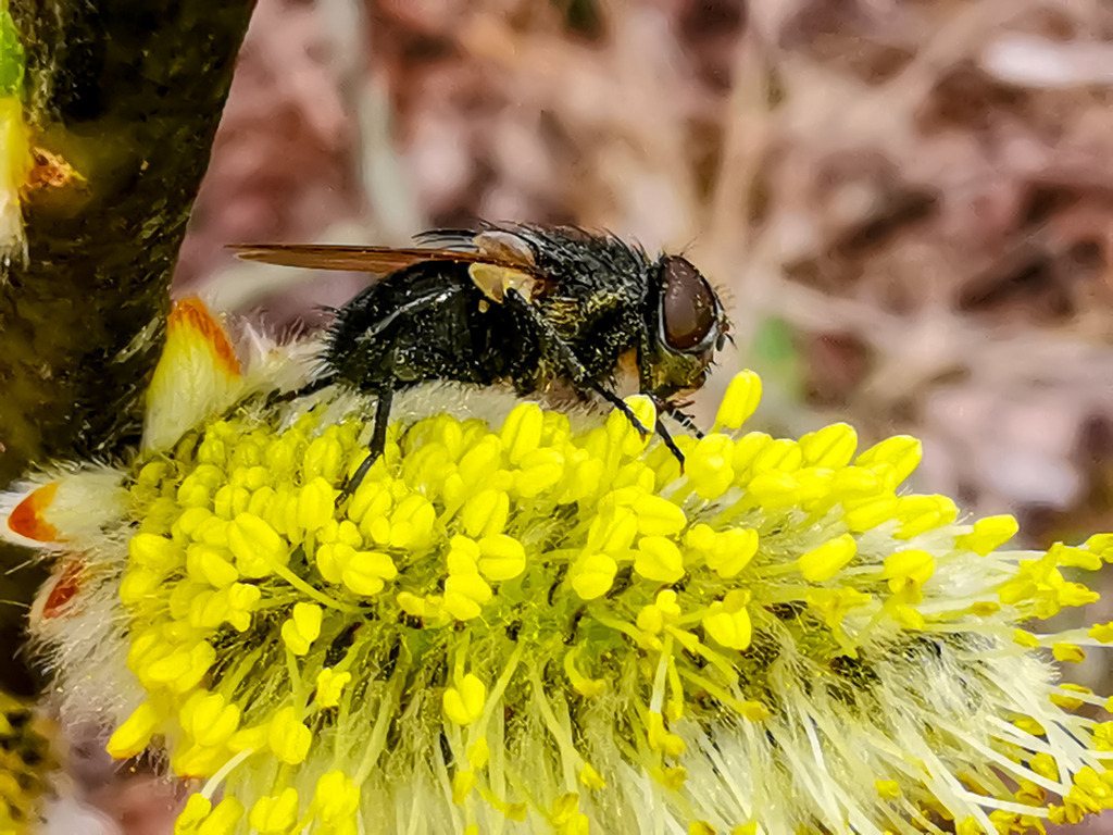 PSX_20230323_225419 | mtkfoto_ - Realisiert mit Pictrs.com