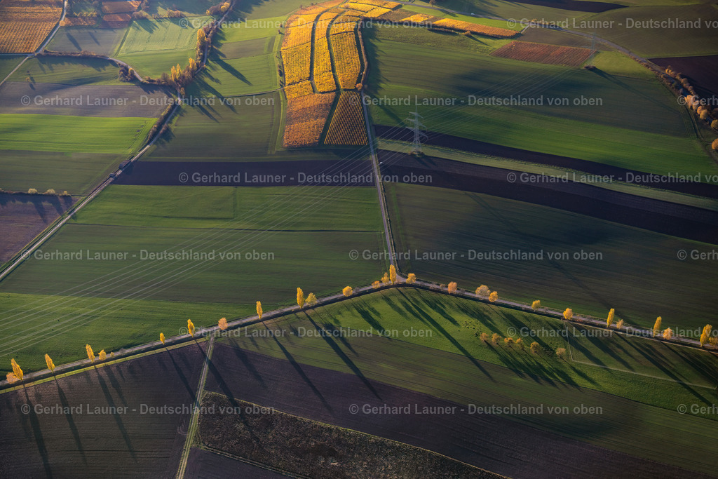 4042863 | Weinberge bei Castell, Weinlage Kirchberg, Hohnart