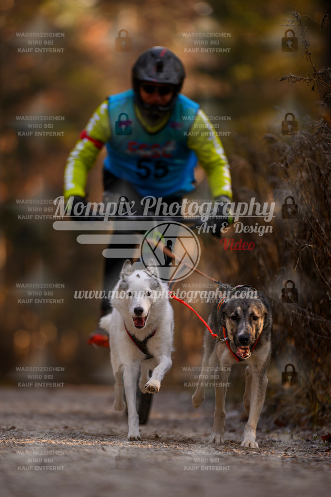 MompixPhotography_DM_AKDM_SO_2025_Scooter-50 | PayLife