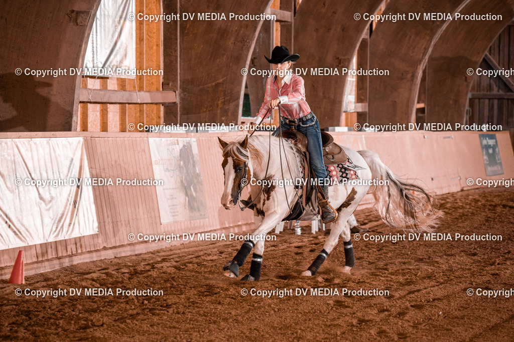 NE201500 | dv-media-shop - Realisiert mit Pictrs.com