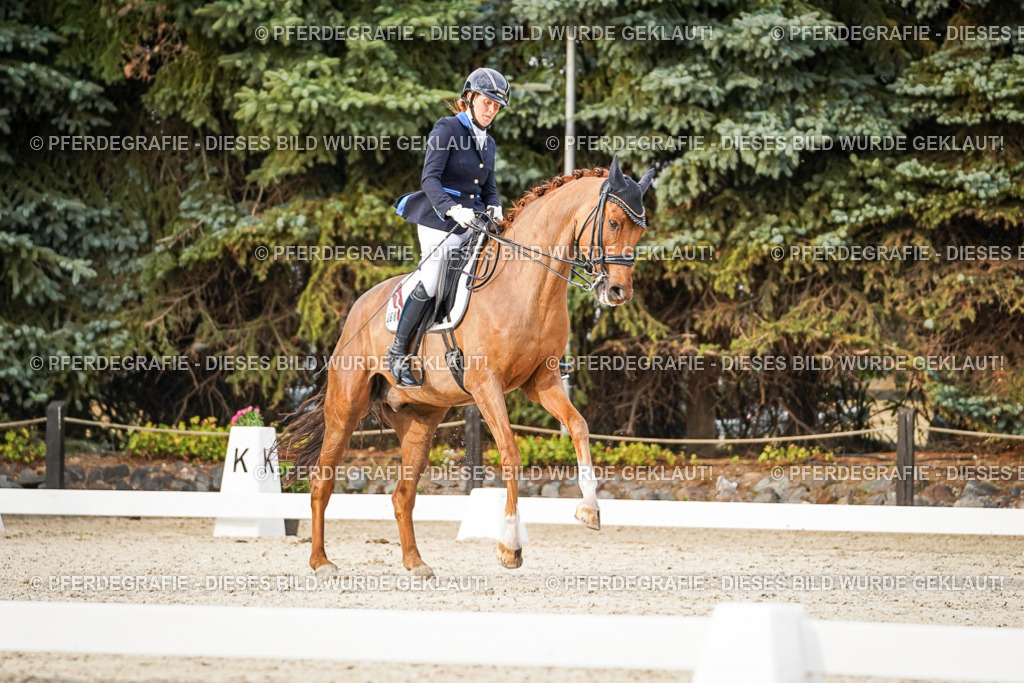 DSC08832 | Pferdegrafie