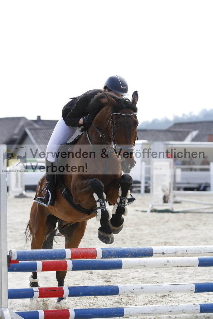 _MG_3382 | equestrian-live-com