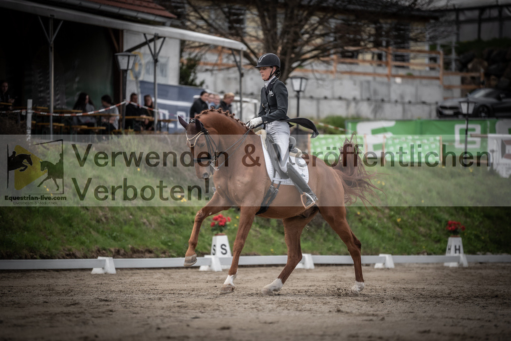 DSC_3104 | equestrian-live-com