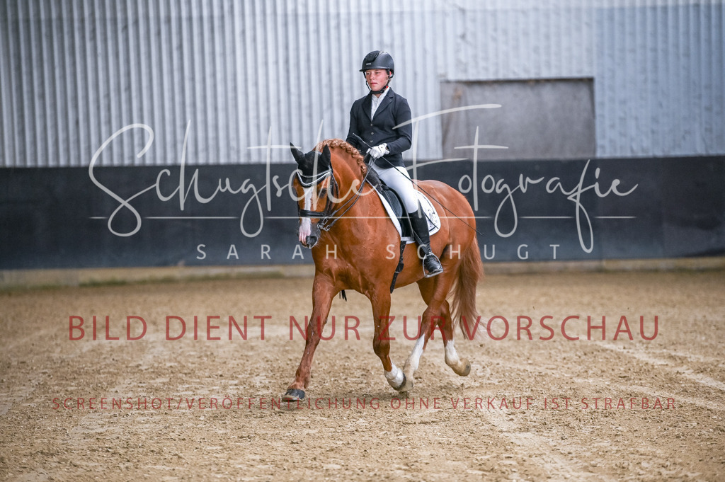 Schugtsche-Aluta25-56.Dressurprf.L1Kand.-24 | Schugtsche Fotografie - Realisiert mit Pictrs.com
