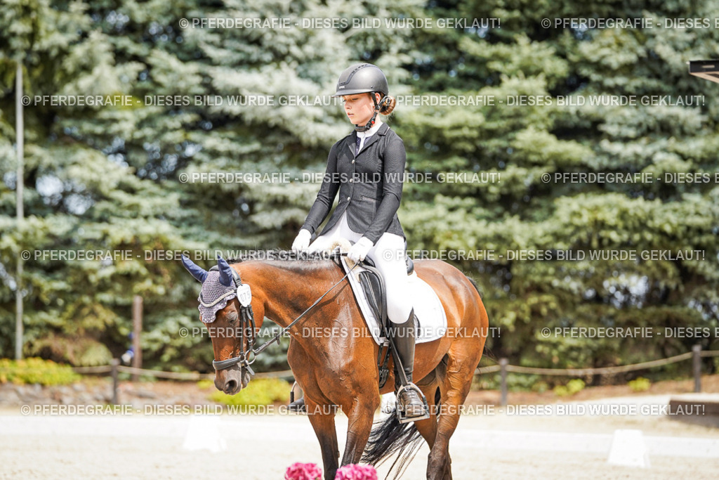 DSC04119 | Pferdegrafie