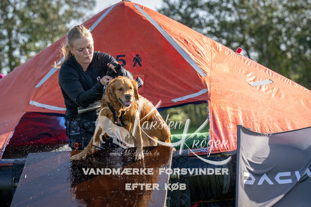 1148-92283 | kk-dogfotos