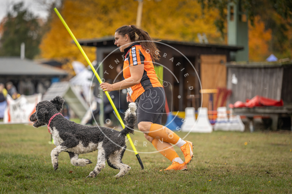 Pfotenfotografie_DV3A6739 | Hundefotografie, Tierfotograf, Pfotenfotografie, Fotoshooting Hund, Hunde Portrait, Hundesport, Hundeportraits, Heideshooting, Hunde, Sportfotograf, Hundefotograf, Turnierhundsport, THS,  - Realisiert mit Pictrs.com